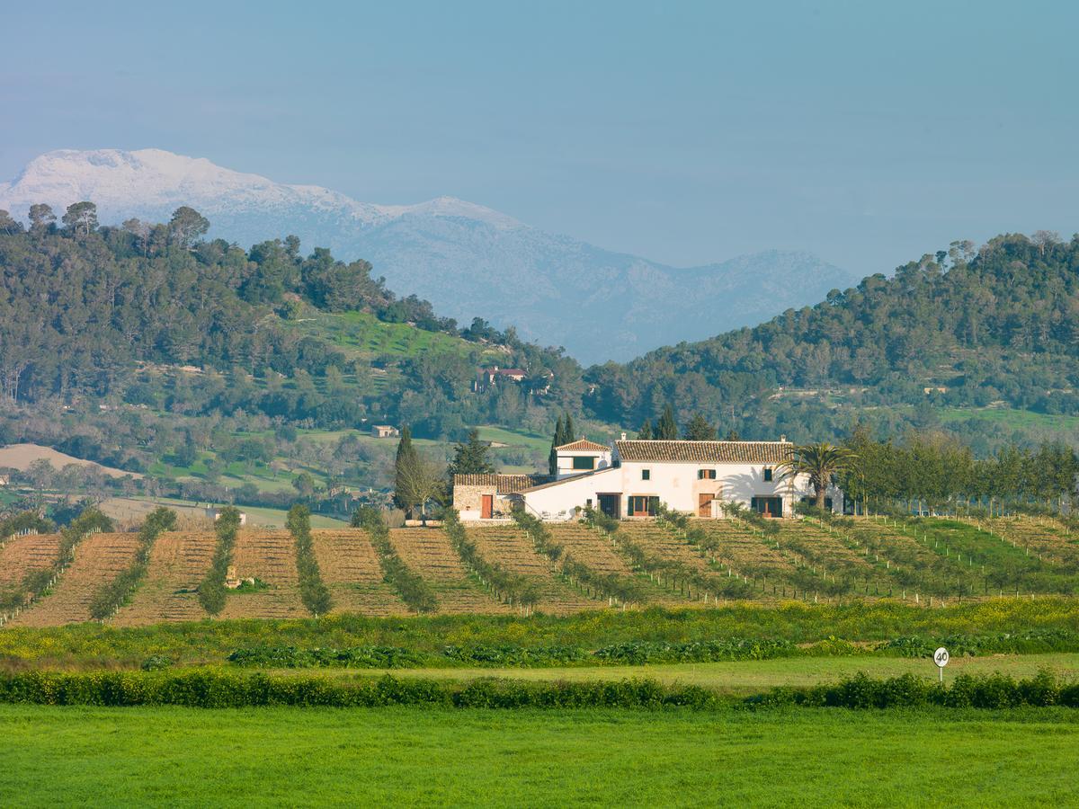 Agroturisme Gossalba Sant Joan 외부 사진